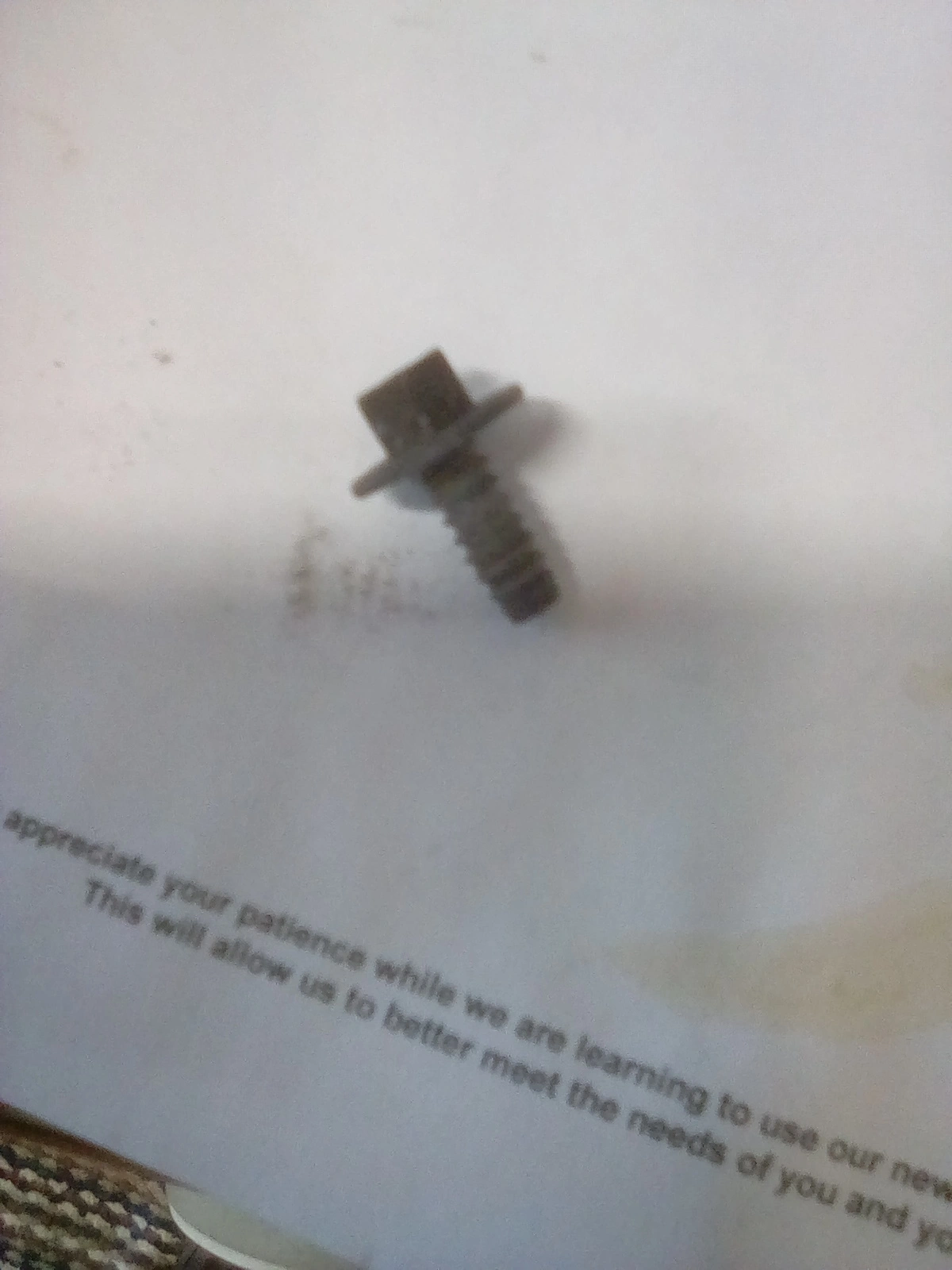 1654091823635-623338881.webp