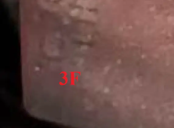 1685843181441.webp