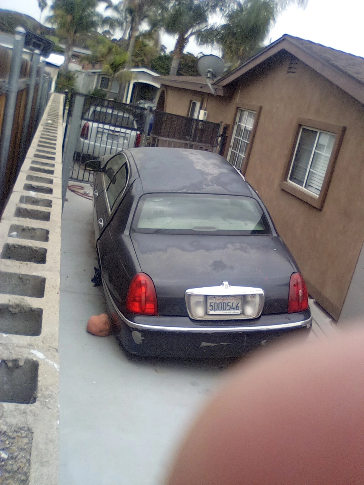 17092239923721597231657012332832.webp
