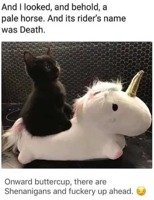 1728177710718.webp