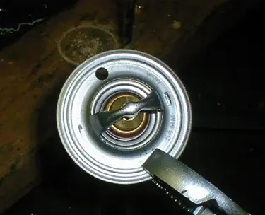 1731008778740.webp