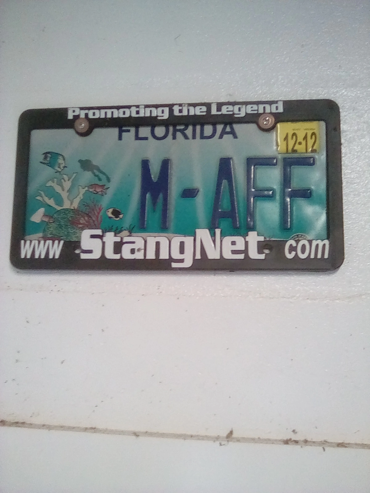 17559865355491131082182.webp