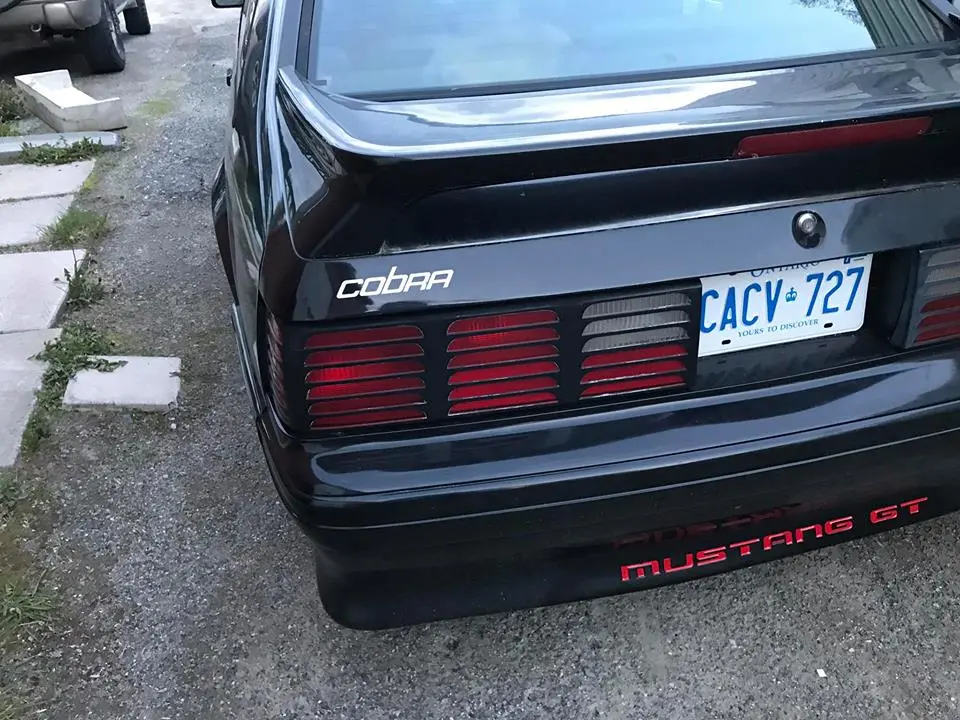 18882292_10158783776565383_759521755370937793_n.webp