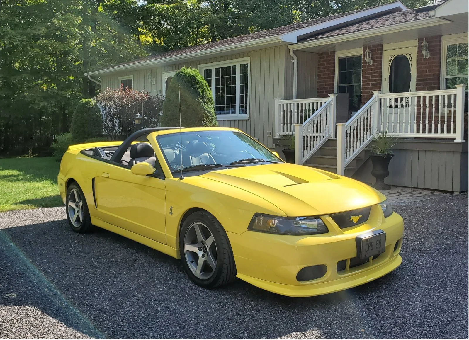19 COBRA SPLITTER YW 01_2.webp