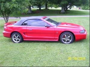 1938764_600.webp