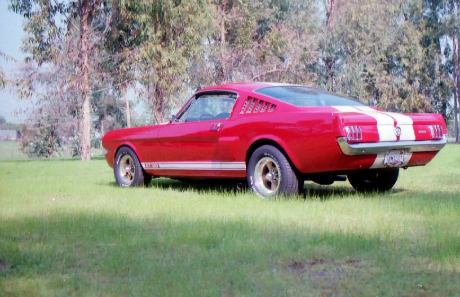 1965 shelby replica 1.webp