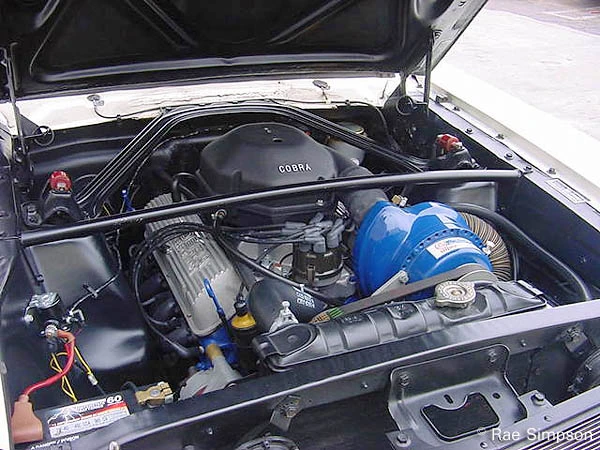 1966_Ford_Shelby_Mustang_GT-350_engine.webp