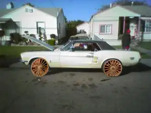 1967_22copy.webp