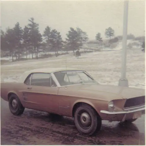 1967Mustang26Feb1968_zpsdg0gpdvz.webp