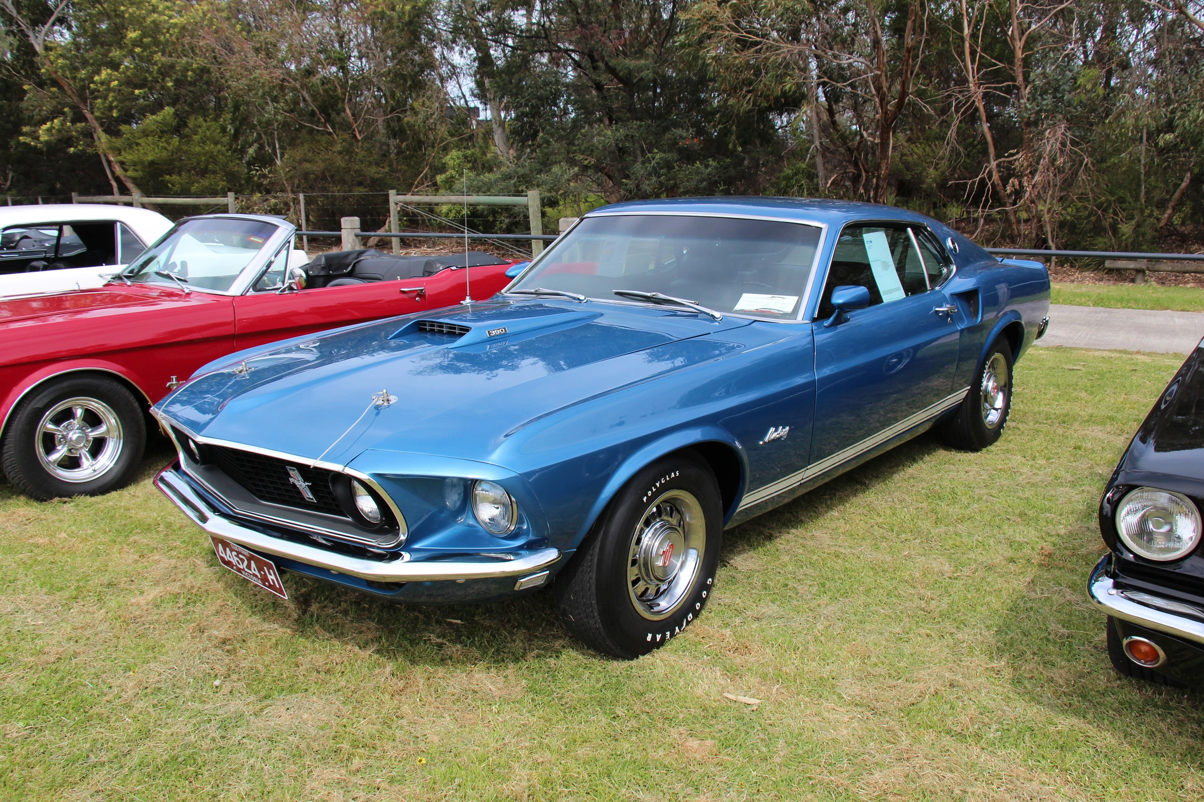 1969_Ford_Mustang_GT_390_Sportsroof_%2815577181522%29.webp