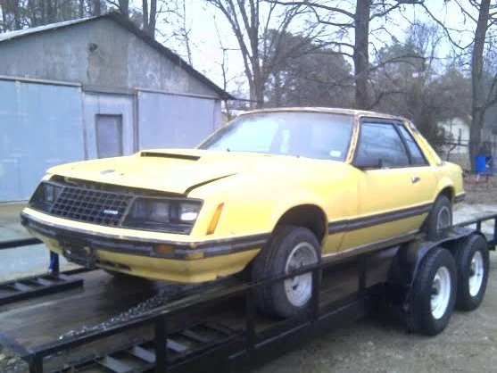 1981Mustang-1.webp