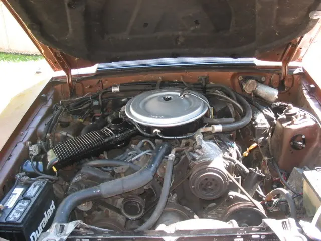 1983mustangglxidel005.webp