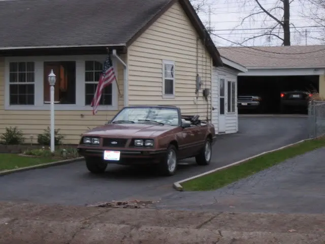 1983mustangpicturesbeforewinters-19.webp