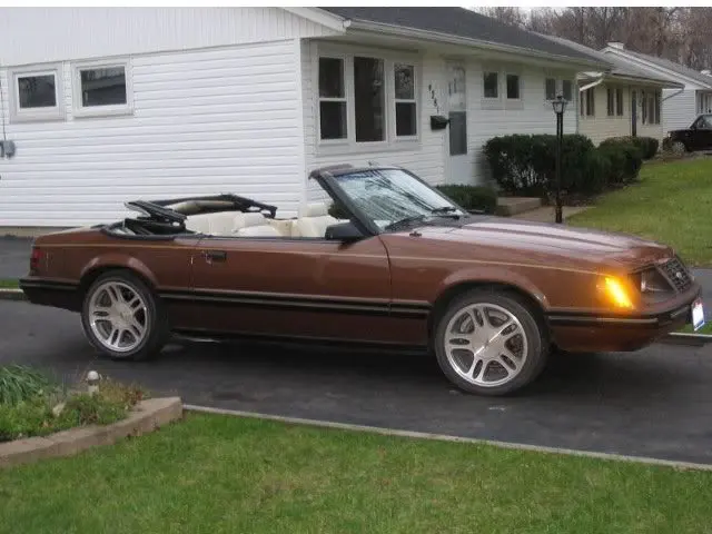 1983mustangpicturesbeforewinters-34.webp
