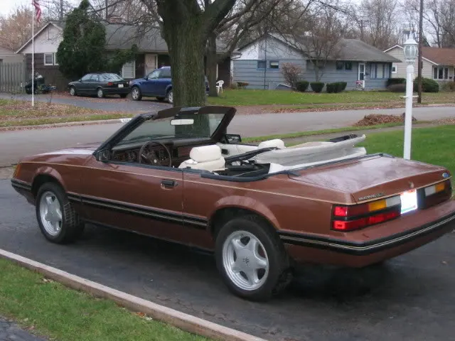 1983mustangpicturesbeforewinters-35.webp