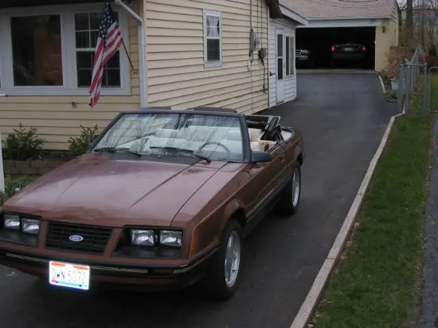 1983mustangpicturesbeforewinters-7.webp
