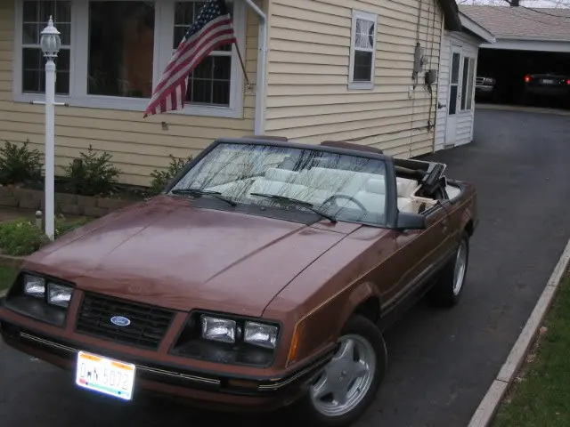 1983mustangpicturesbeforewinters-8.webp