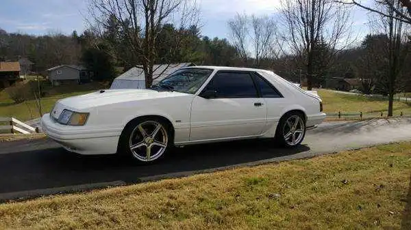 1986_mustang_svo_99334875960683073.webp