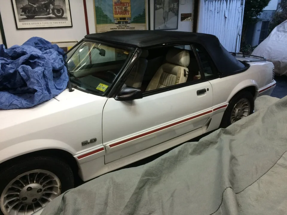 1987 mustang 002.webp