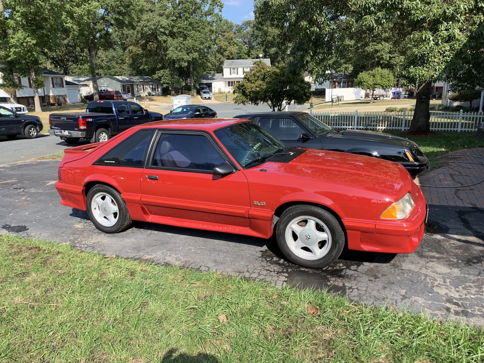 1988 Mustang.webp