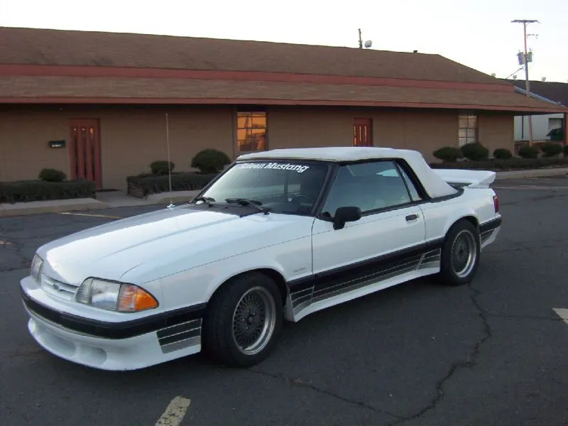 1988SaleenVert_lf.webp