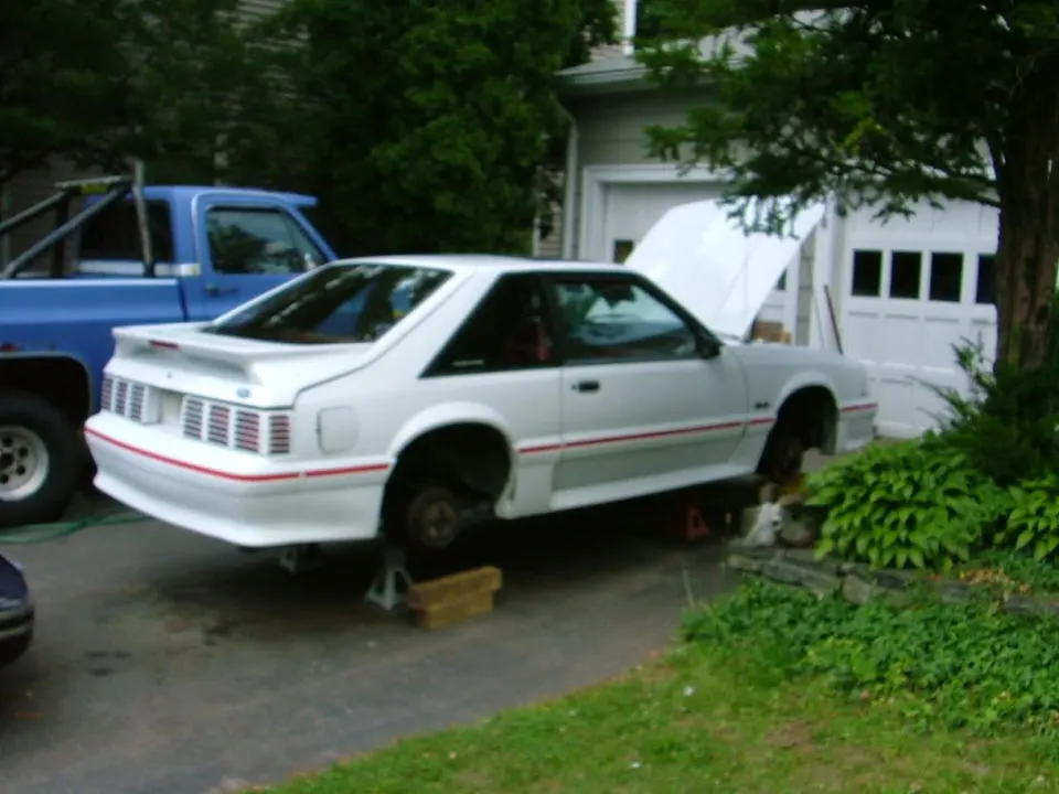 198950.webp