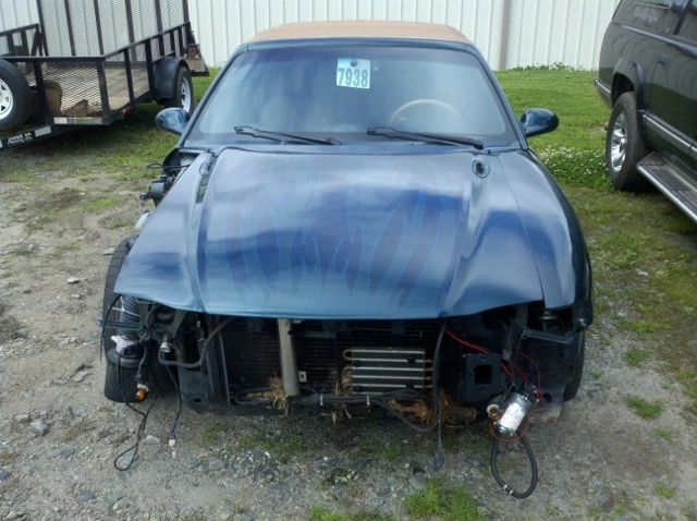 1995 Mustang (1) (640x478).webp