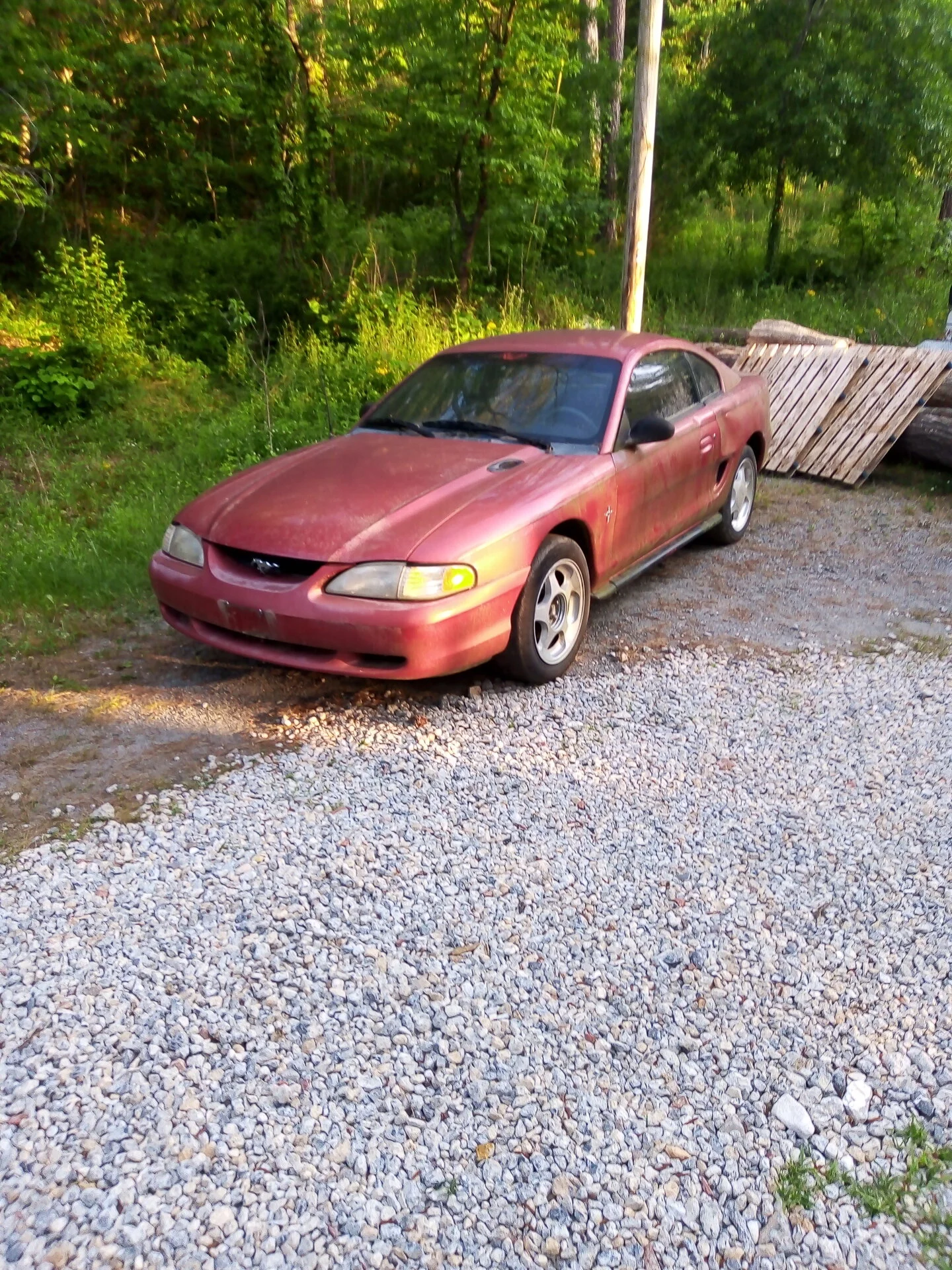 1995 Mustang V6 Manual.webp