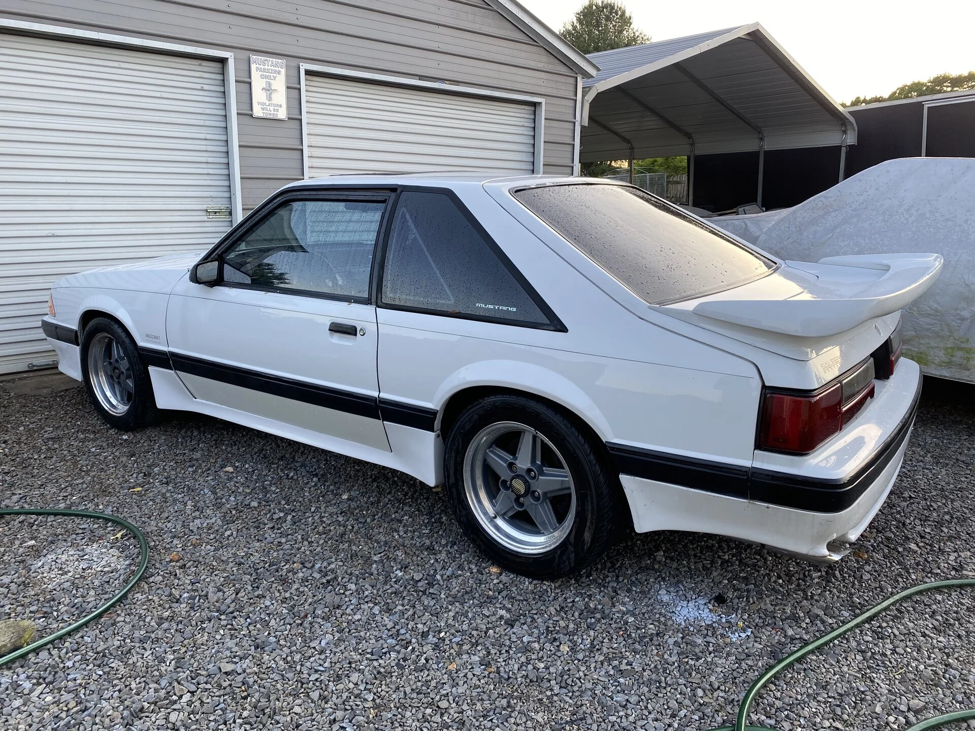 1996AE2D-D7A3-4DB9-BAE2-8BC973C35187.webp