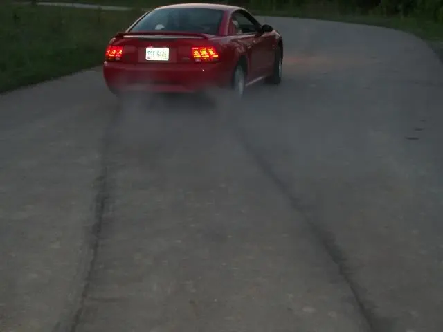 1999svtcobra5-5-10022.webp
