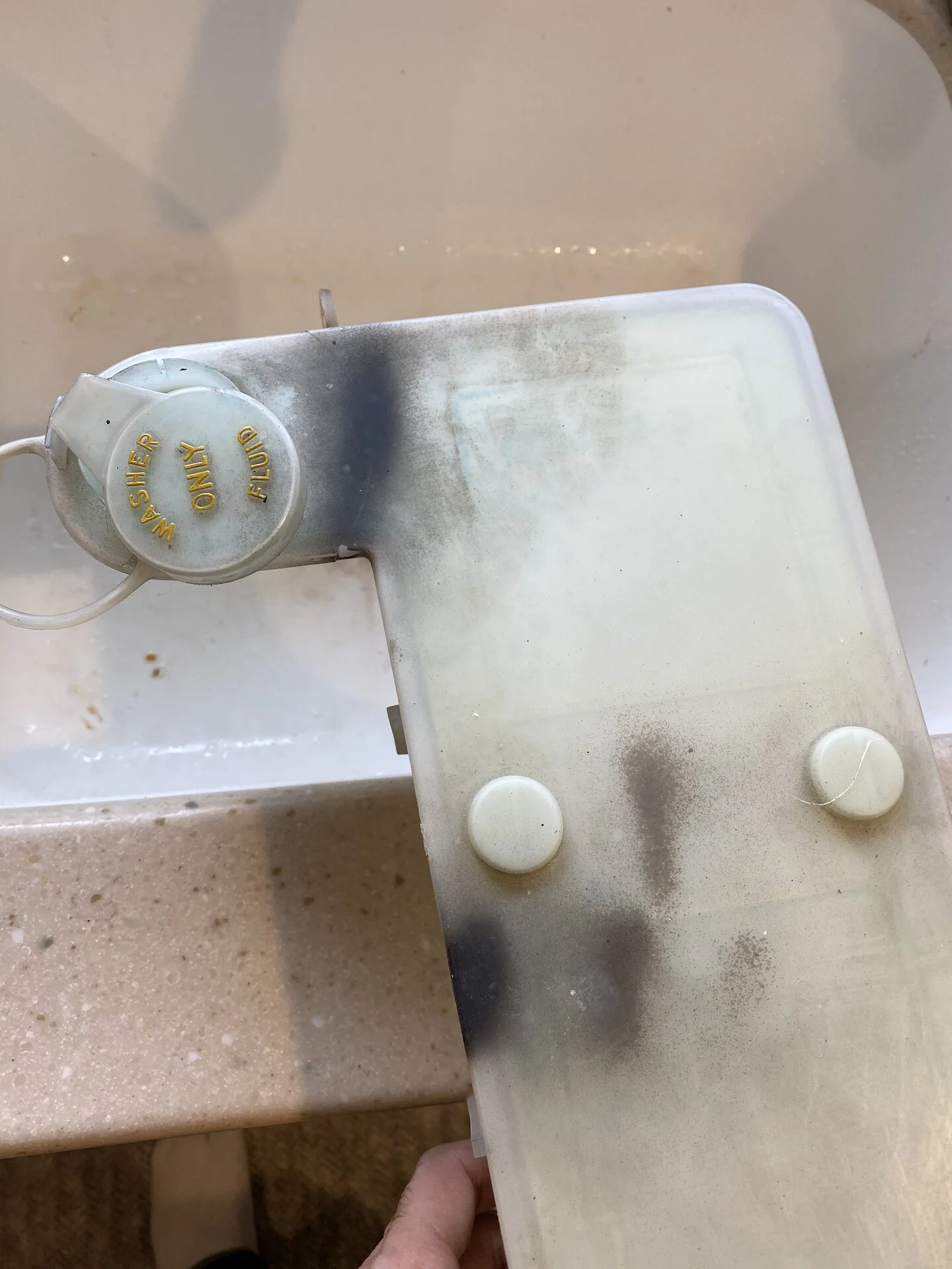 1B4E1432-08F0-492E-987C-C337625E101A.jpeg