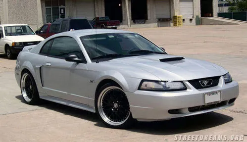 1daves-mustang.webp