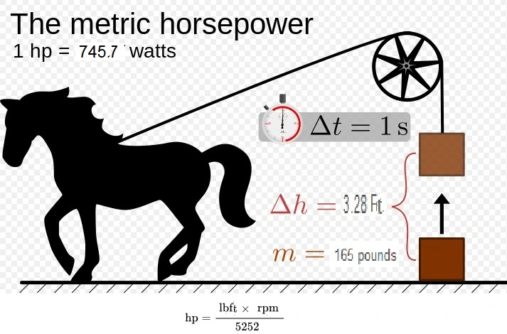 1hp.webp