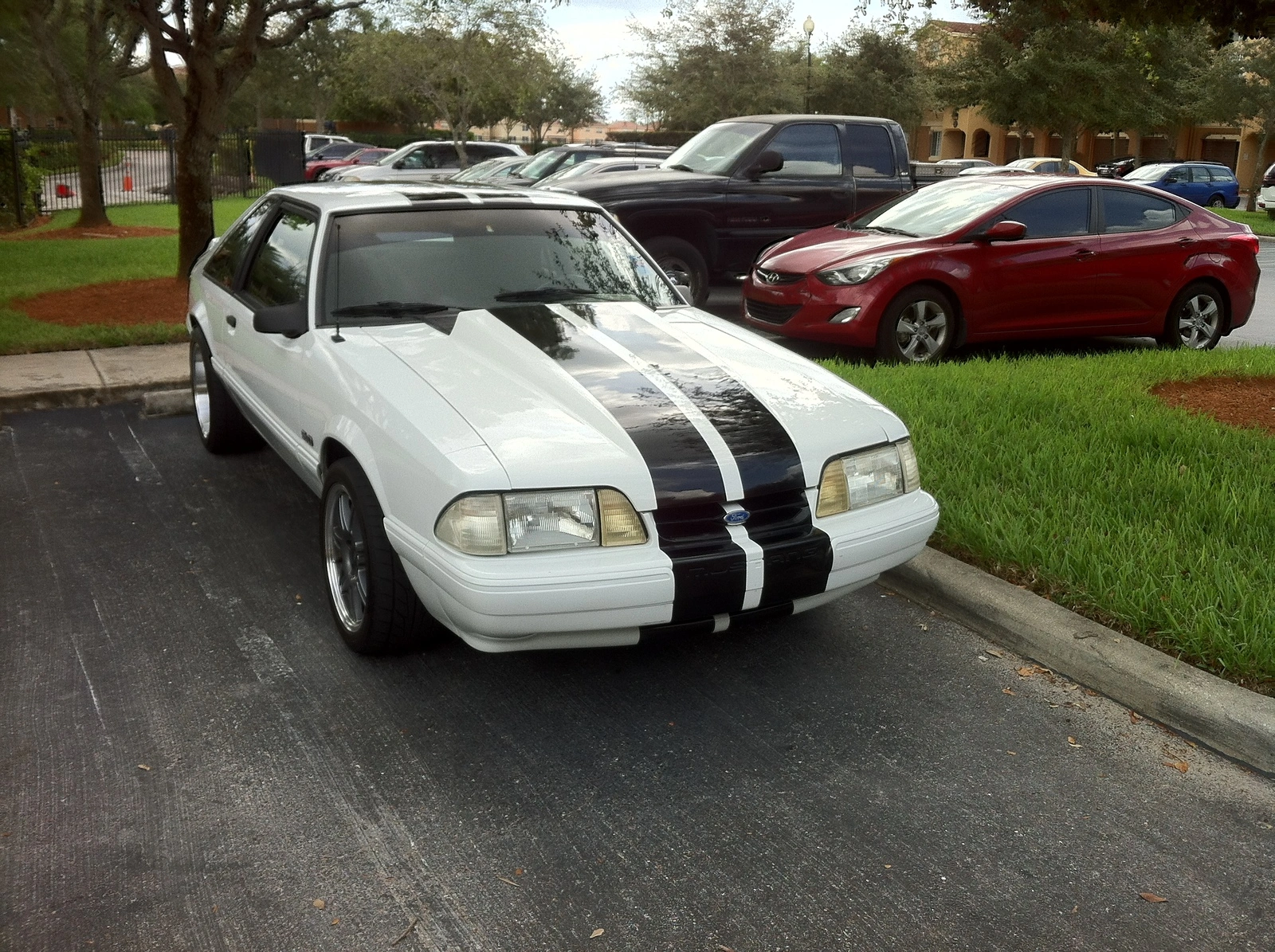 1stang large.webp