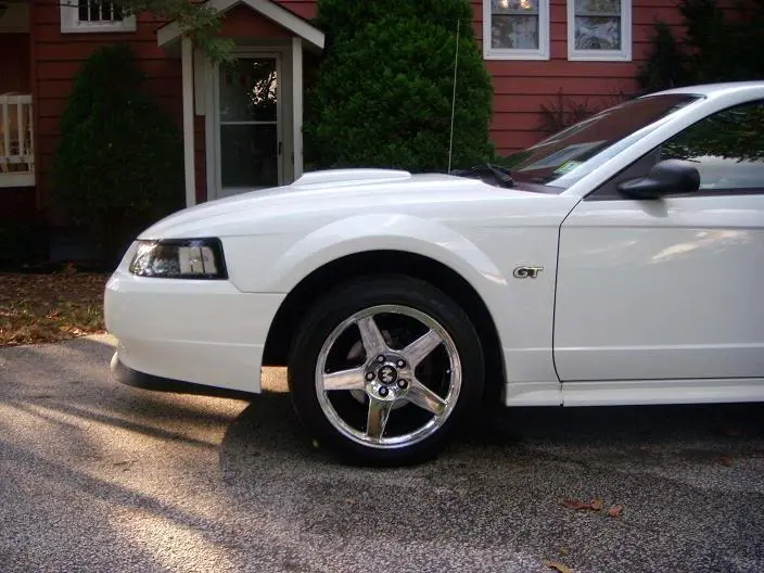 1stang.webp