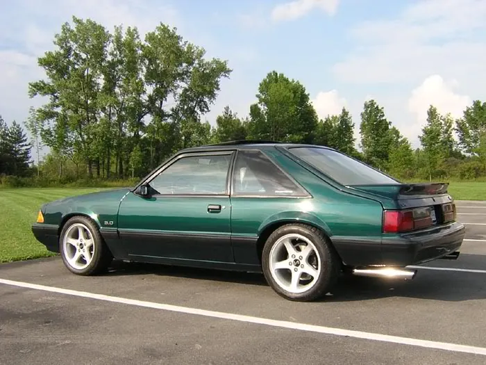 1Stang.webp