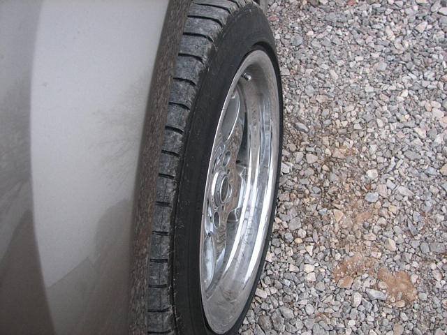 1stang_0002.webp