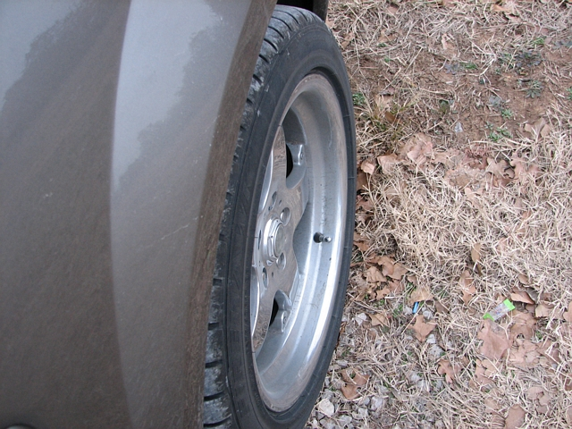 1stang_0003.webp