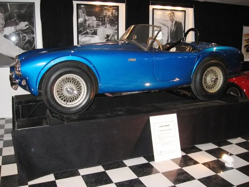 1stCobra.webp