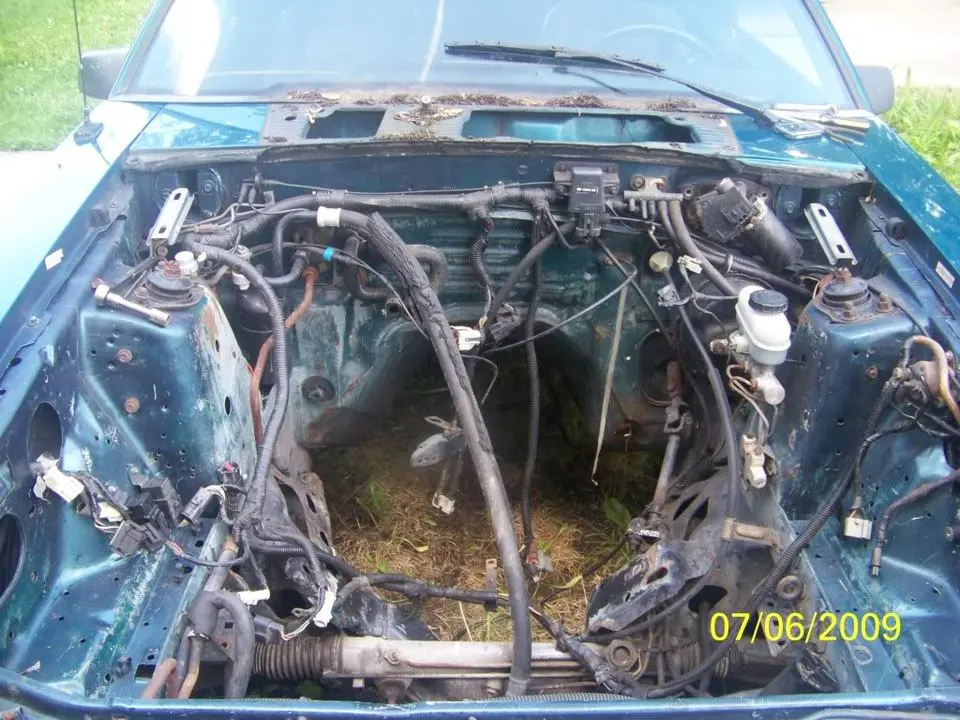 1stenginebaypic.webp
