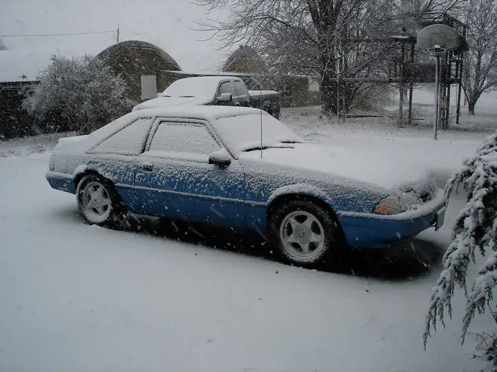 1stsnow2.webp