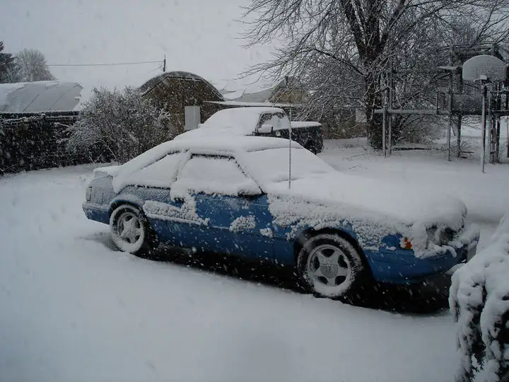 1stsnow3.webp