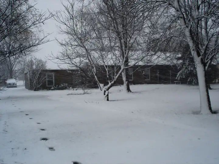 1stsnow4.webp