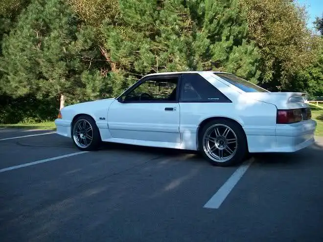 1zd28fc.webp
