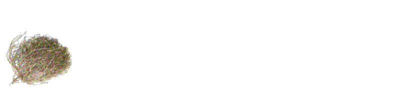 200.gif
