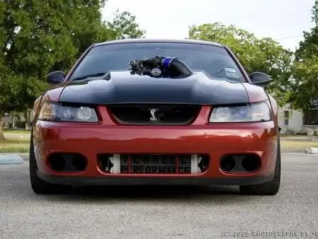 2000-ford-mustang-1.webp