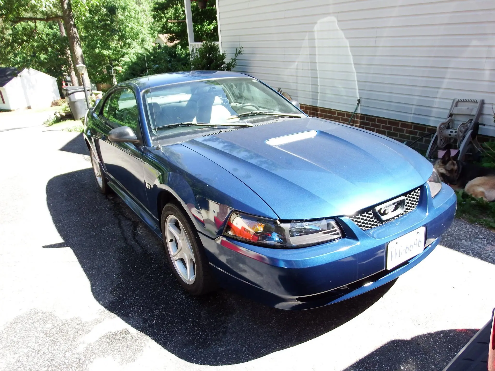 2000 Mustang GT.webp