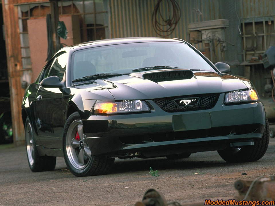 2001-bullitt-1280x960.webp