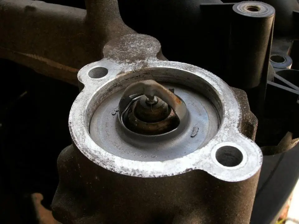 2003GTMustang46thermostatinstalled.webp