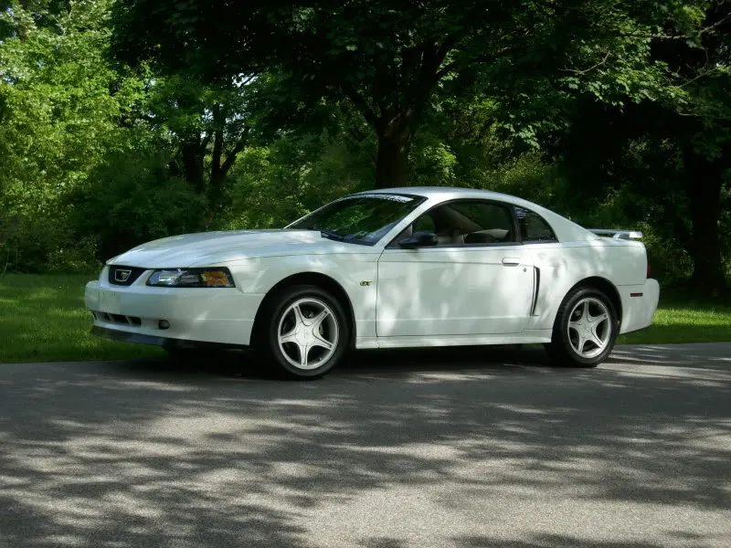2003MustangGT5-16-10008.webp